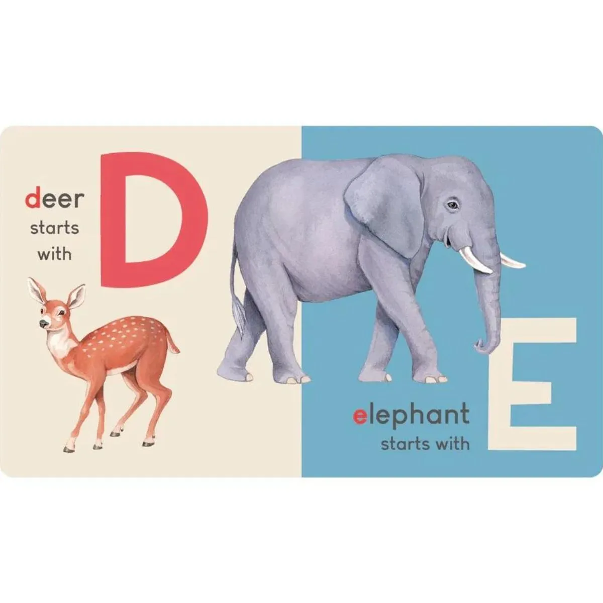 Carry Me Animal Alphabet Book