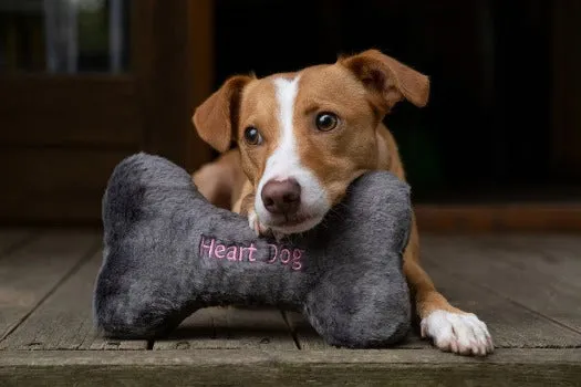 Heart Dog Bone