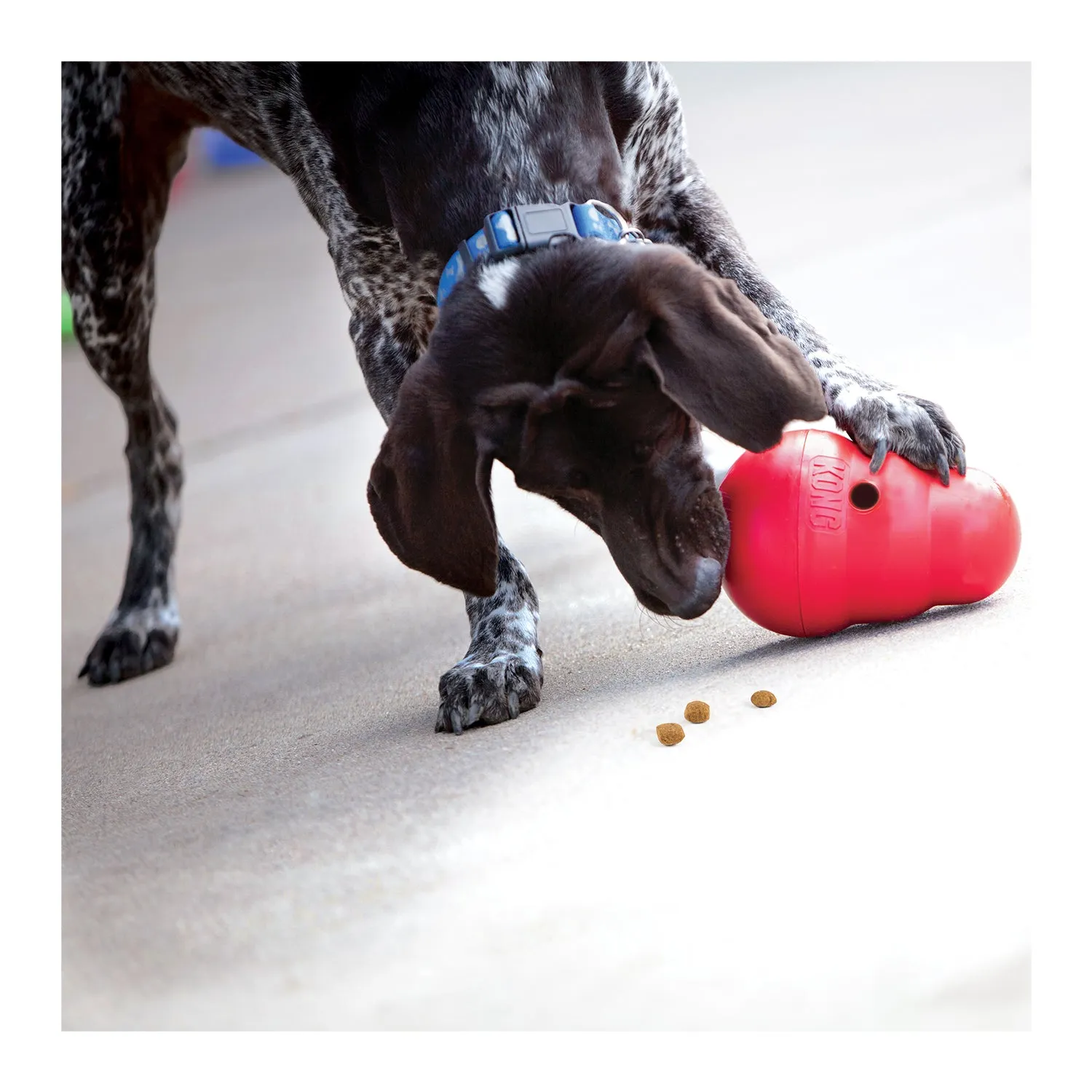 KONG Wobbler Dog Toy