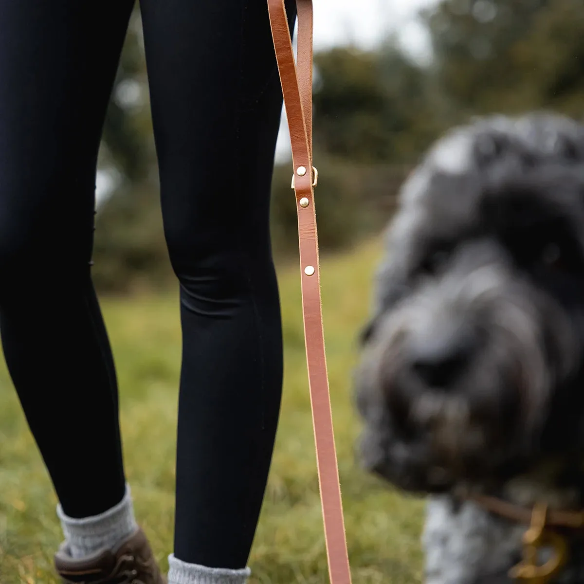 Leather Dog Lead - Havana Tan