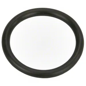 Polaris Universal Wall Fitting O-ring 6-505-00