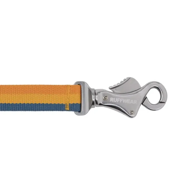Ruffwear Roamer™ Multi-Use Bungee Dog Leash (Yellow Snow)
